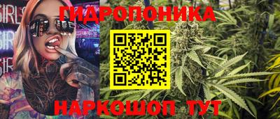 гашик Кулебаки
