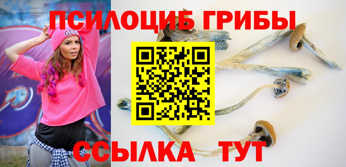 Псилоцибиновые грибы MAGIC MUSHROOMS Ковров