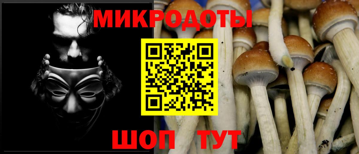 Псилоцибиновые грибы мухоморы  Вход с VPN  Галлюциногенные грибы GOLDEN TEACHER  Ковров 